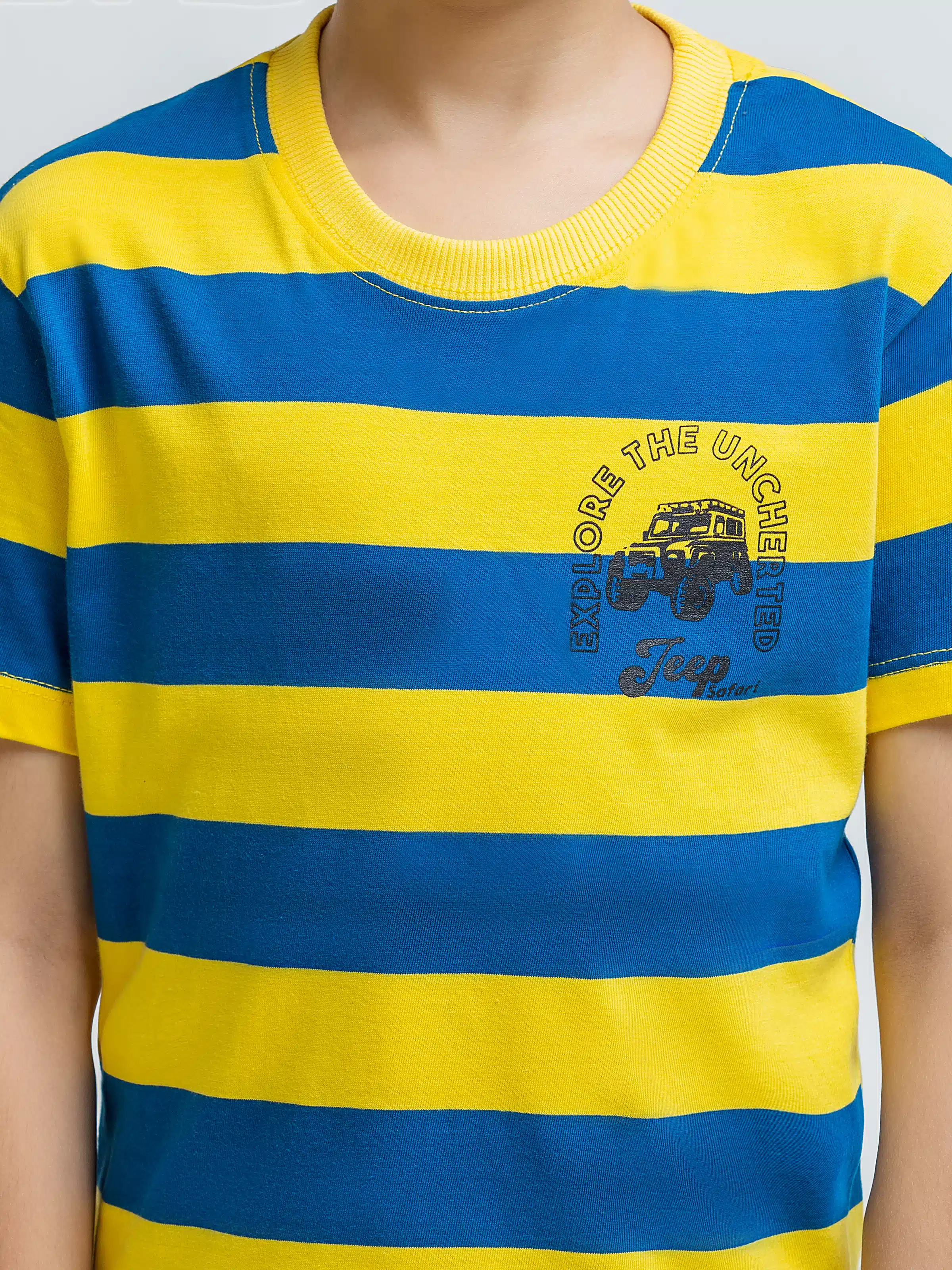 Striped Tee - EBTTS6-053 - Image 4
