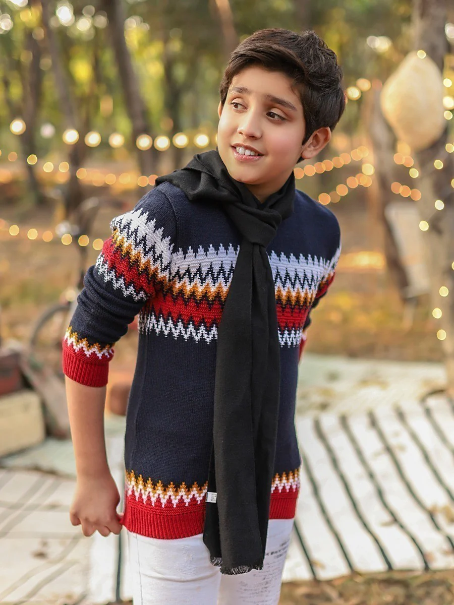 Crew Neck Fair Isle Sweater - EBTSWT20-009 - Image 4
